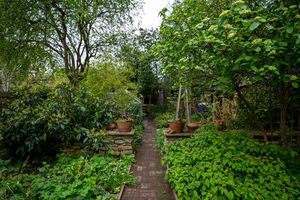Carr Road Walkley